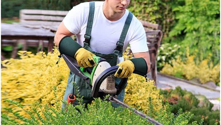 Gardening Waterproof Gloves / What Are Common Gardening Tools?